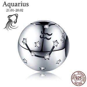 Sterling Silver Aquarius Zodiac Charm